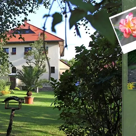Apartment Im Musikerviertel